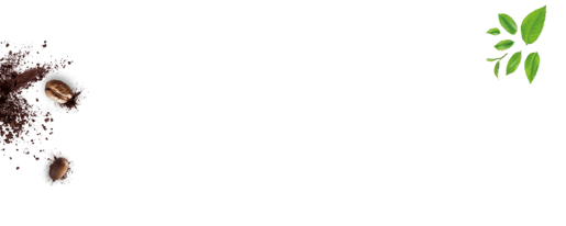 our story banner
